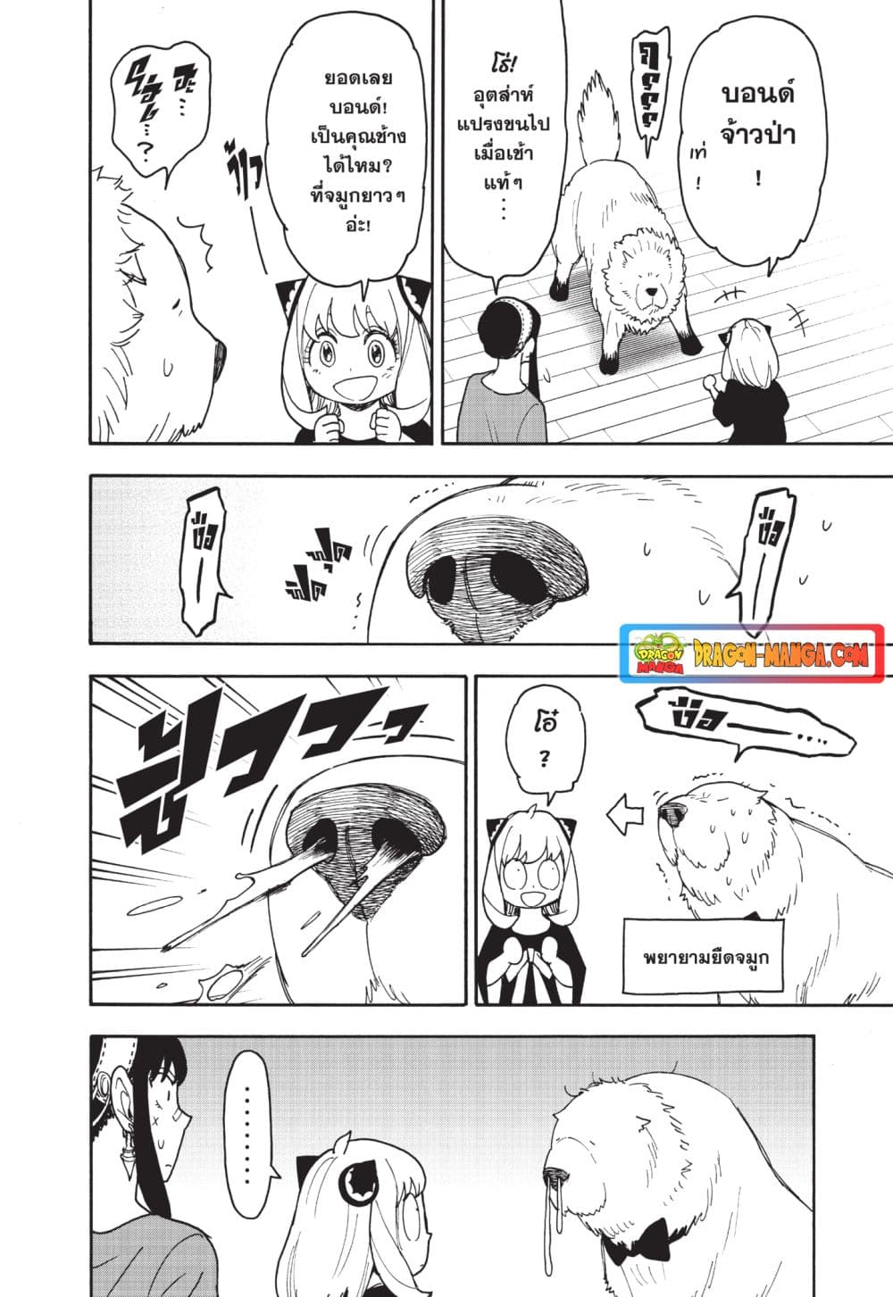 อ่านมังงะ Spy X Family ภารกิจลับครอบครัววายป่วง หน้าที่ 8 แปลไทย
