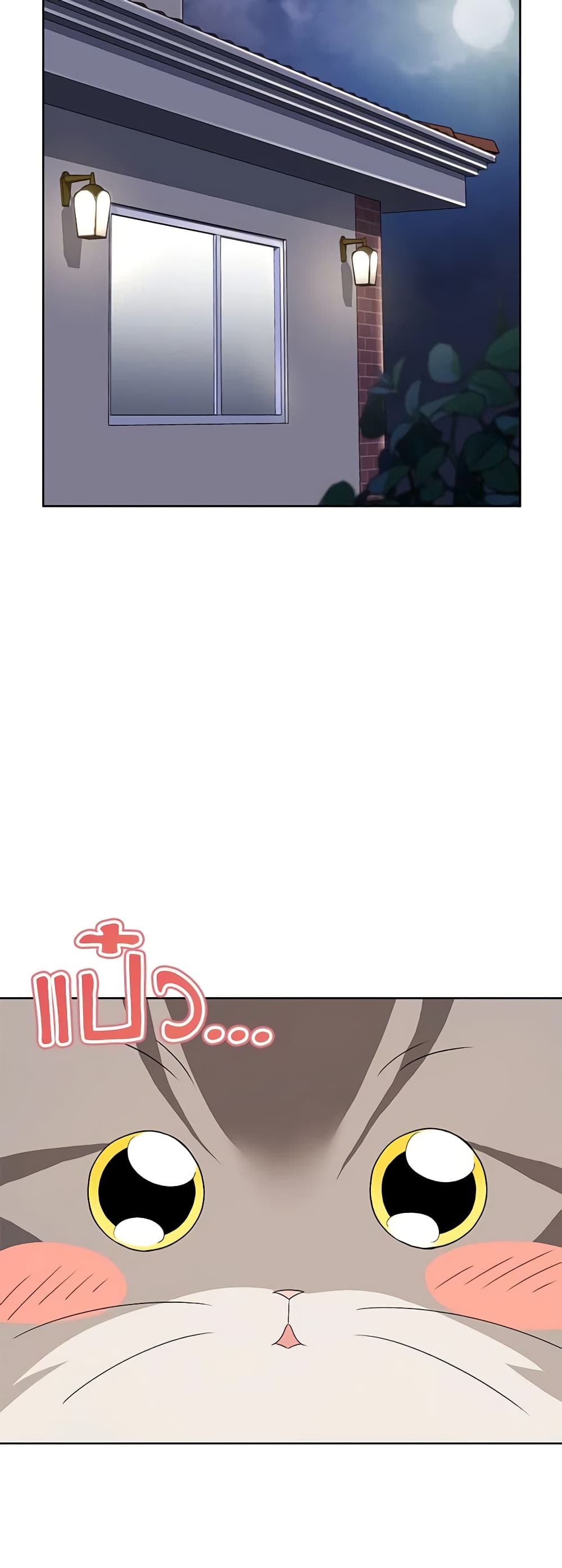 อ่านมังงะ Hello! Veterinarian! หน้าที่ 45 แปลไทย