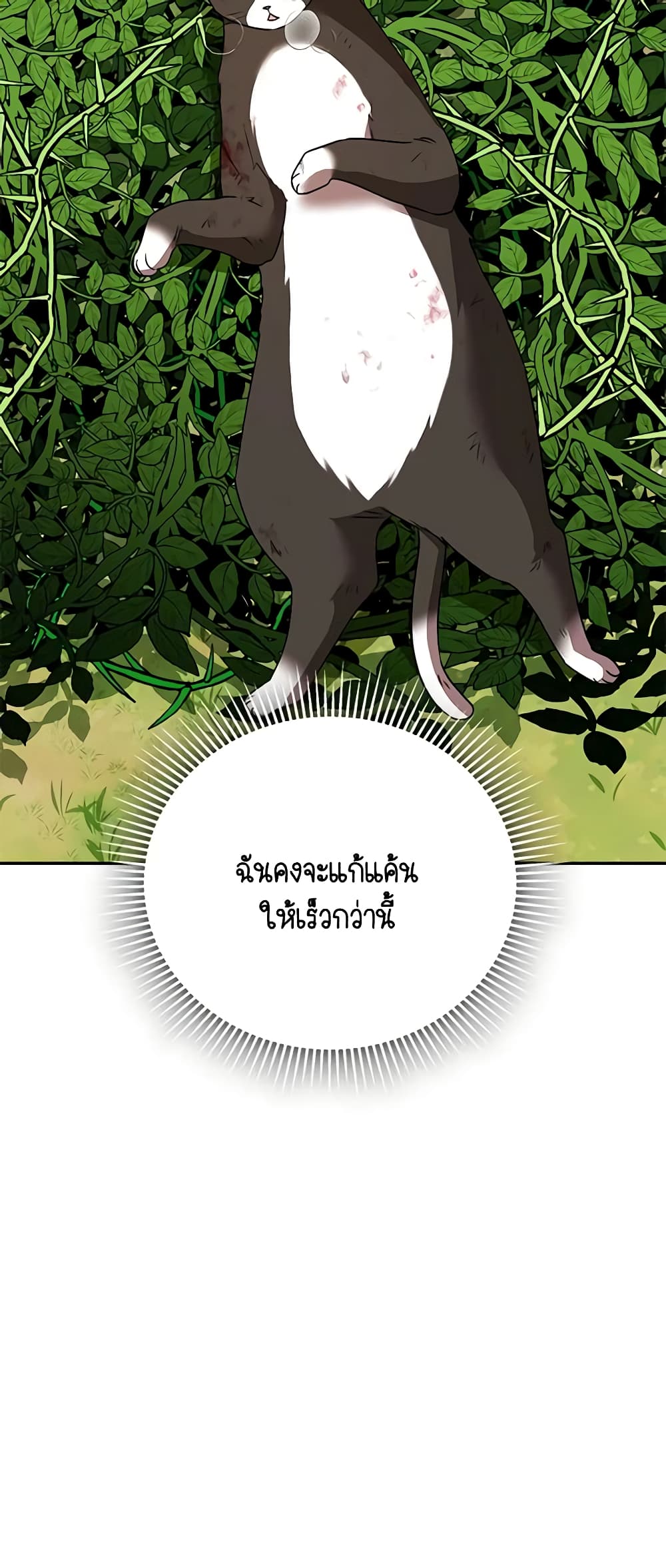 อ่านมังงะ Hello! Veterinarian! หน้าที่ 59 แปลไทย