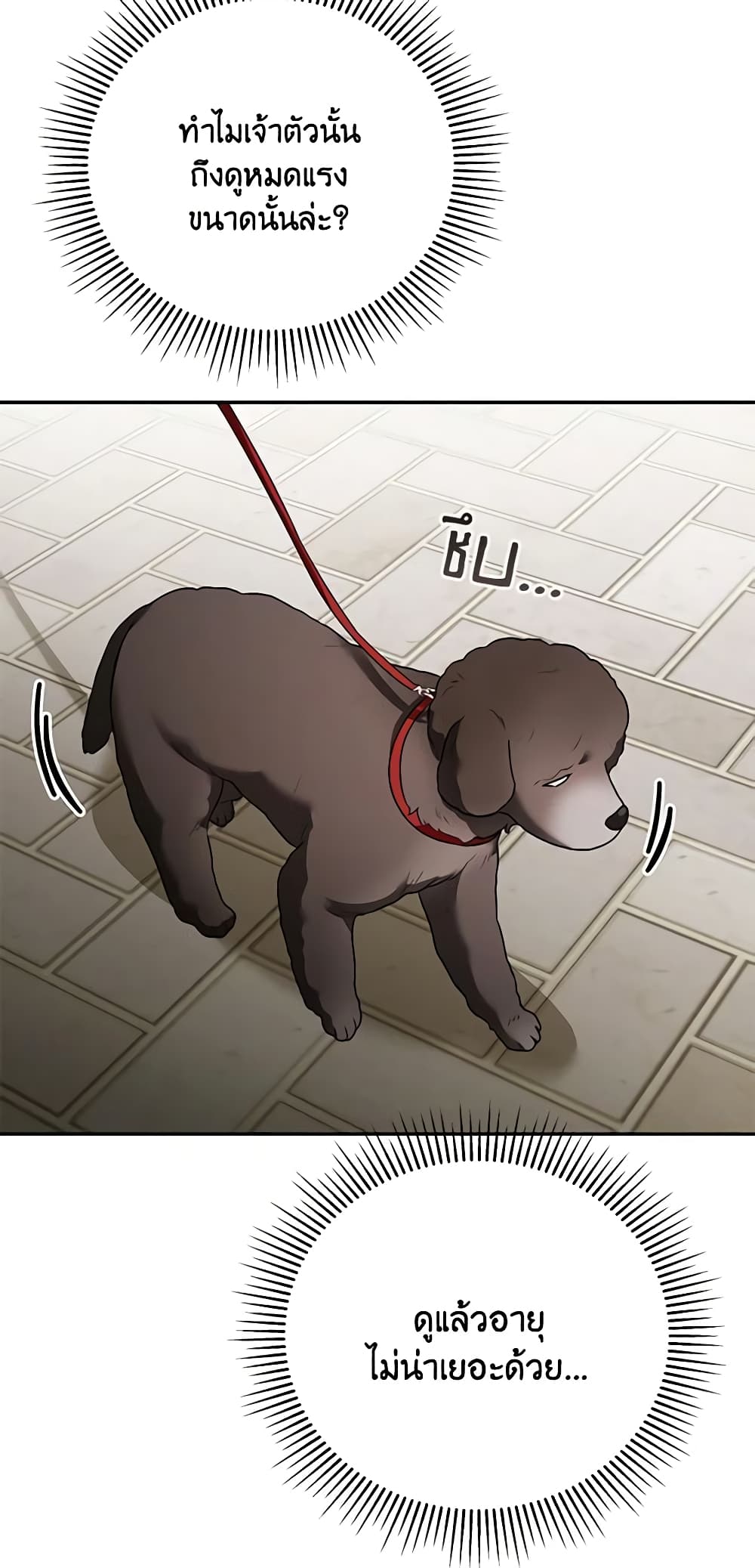 อ่านมังงะ Hello! Veterinarian! หน้าที่ 43 แปลไทย