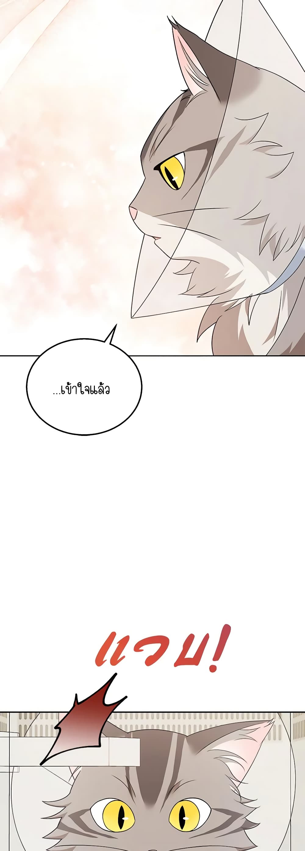 อ่านมังงะ Hello! Veterinarian! หน้าที่ 7 แปลไทย