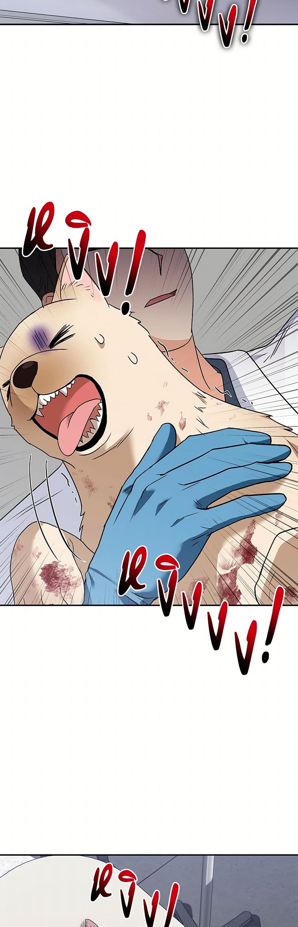 อ่านมังงะ Hello! Veterinarian! หน้าที่ 55 แปลไทย