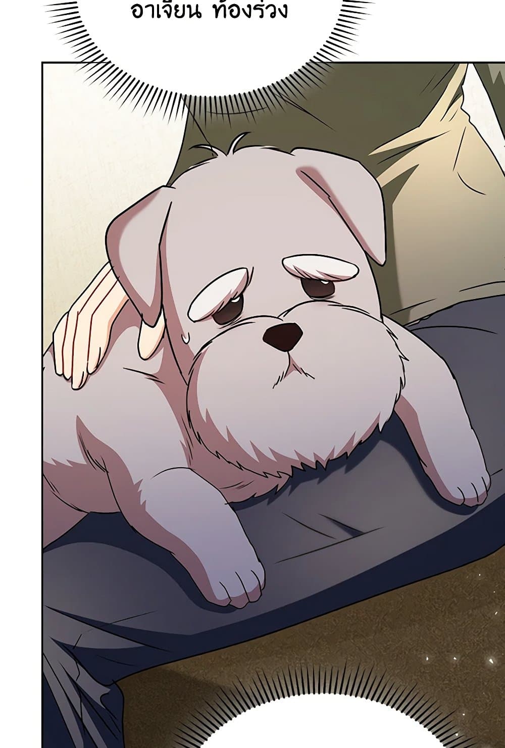 อ่านมังงะ Hello! Veterinarian! หน้าที่ 27 แปลไทย