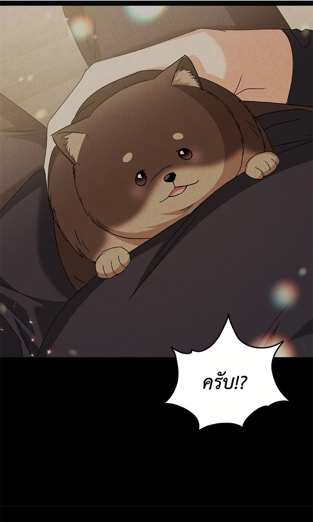 อ่านมังงะ Hello! Veterinarian! หน้าที่ 35 แปลไทย