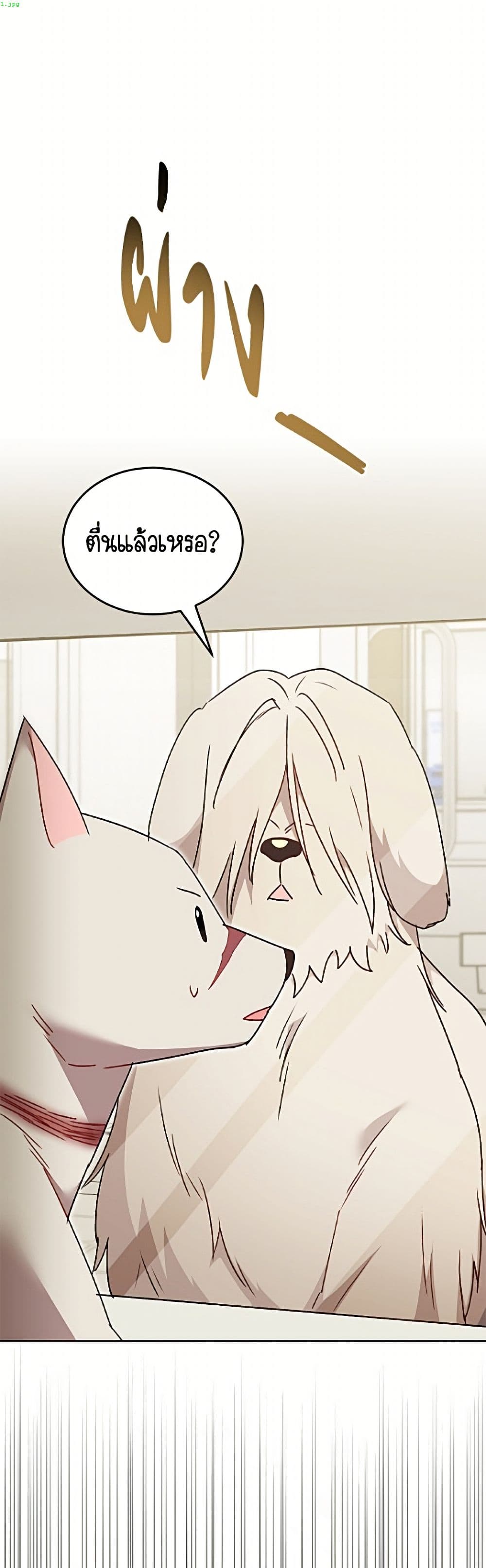 อ่านมังงะ Hello! Veterinarian! หน้าที่ 3 แปลไทย