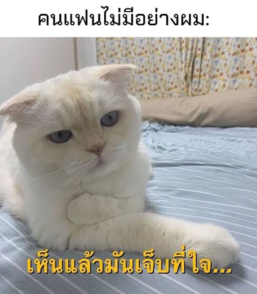 อ่านมังงะ Houkago Kitaku Biyori หน้าที่ 37 แปลไทย