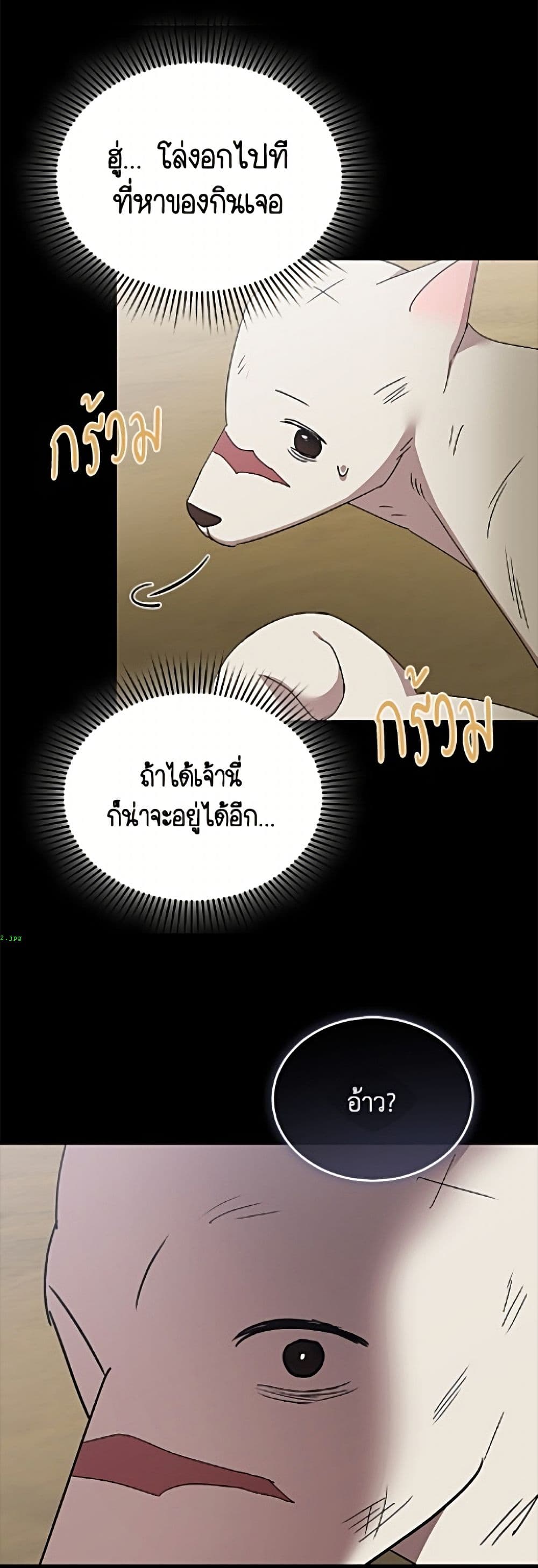 อ่านมังงะ Hello! Veterinarian! หน้าที่ 17 แปลไทย