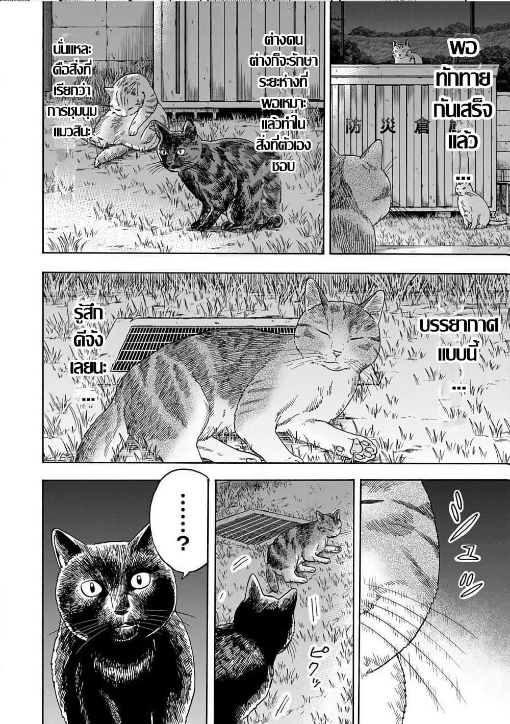 อ่านมังงะ Yuzuki-Becomes-A-Cat หน้าที่ 6 แปลไทย