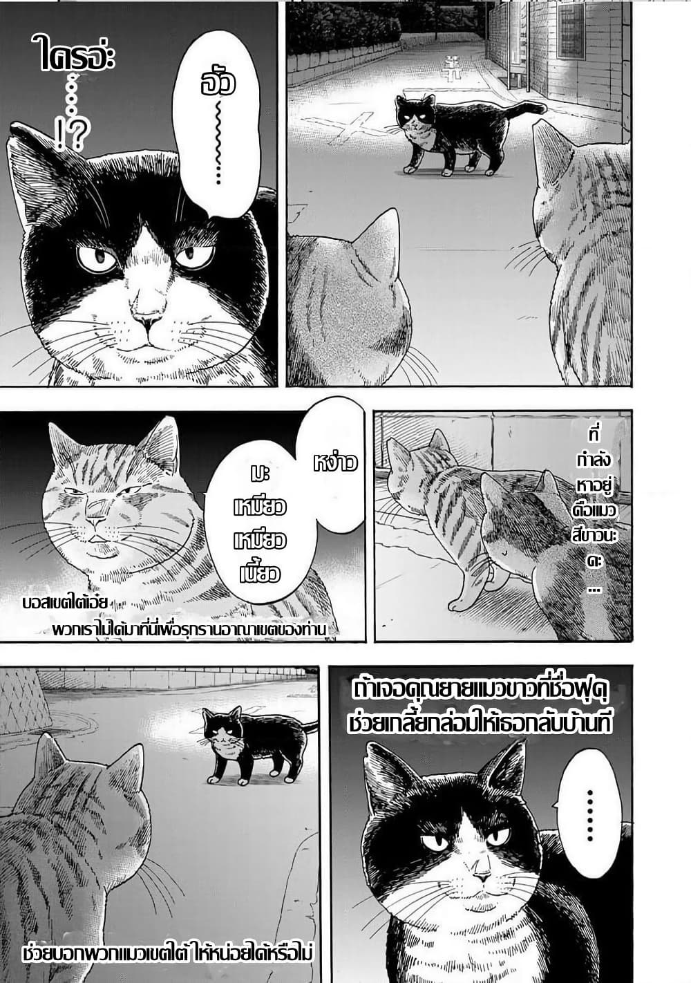 อ่านมังงะ Yuzuki-Becomes-A-Cat หน้าที่ 13 แปลไทย