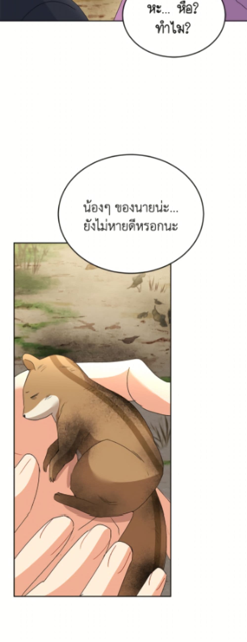 อ่านมังงะ Hello! Veterinarian! หน้าที่ 61 แปลไทย