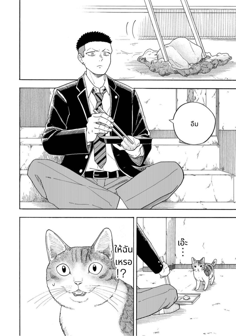 อ่านมังงะ Yuzuki-Becomes-A-Cat หน้าที่ 19 แปลไทย