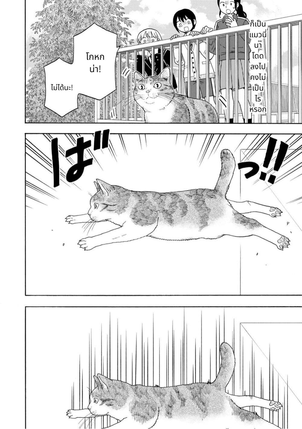อ่านมังงะ Yuzuki-Becomes-A-Cat หน้าที่ 15 แปลไทย
