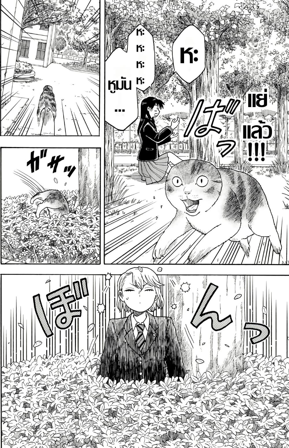 อ่านมังงะ Yuzuki-Becomes-A-Cat หน้าที่ 32 แปลไทย