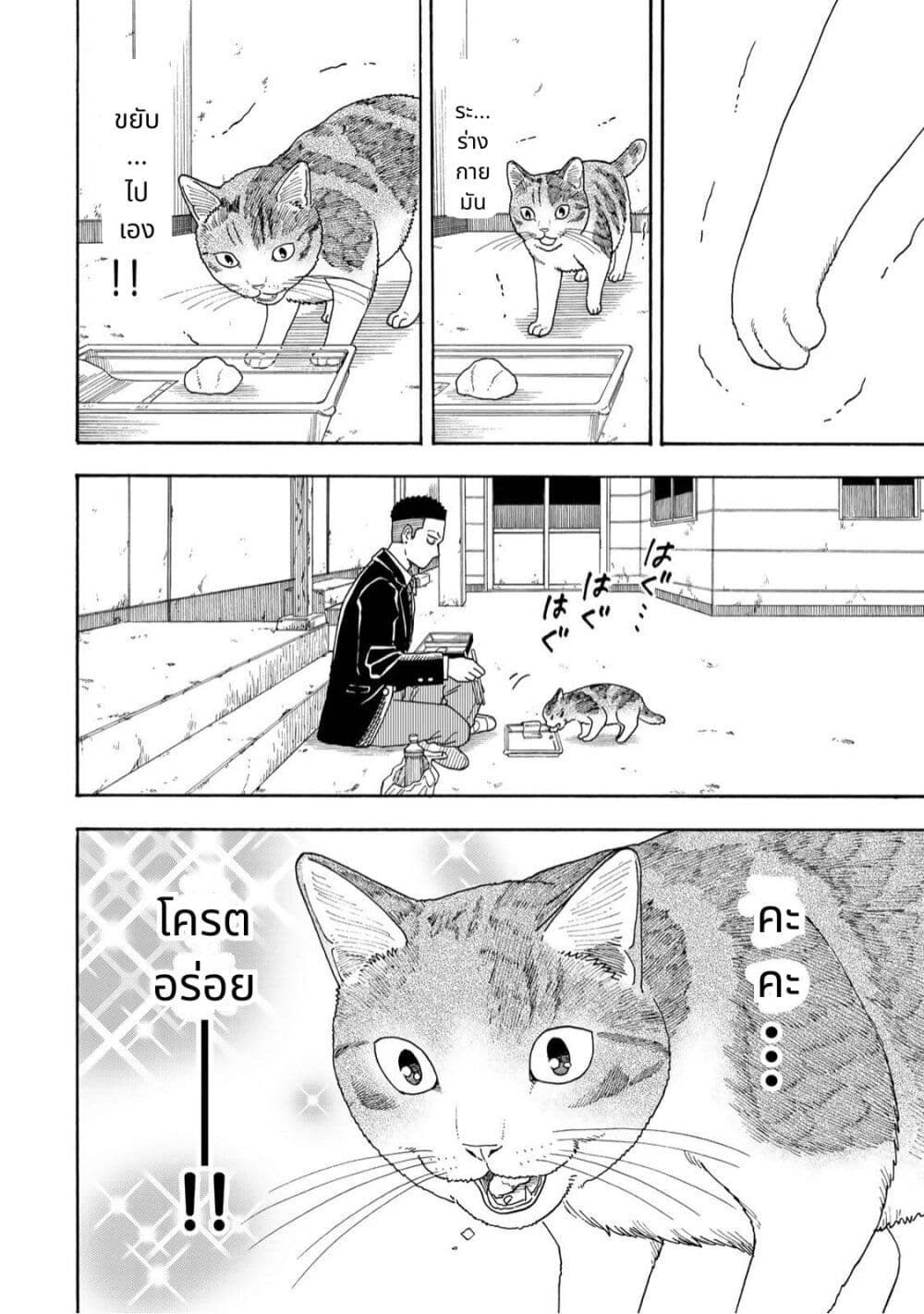 อ่านมังงะ Yuzuki-Becomes-A-Cat หน้าที่ 21 แปลไทย
